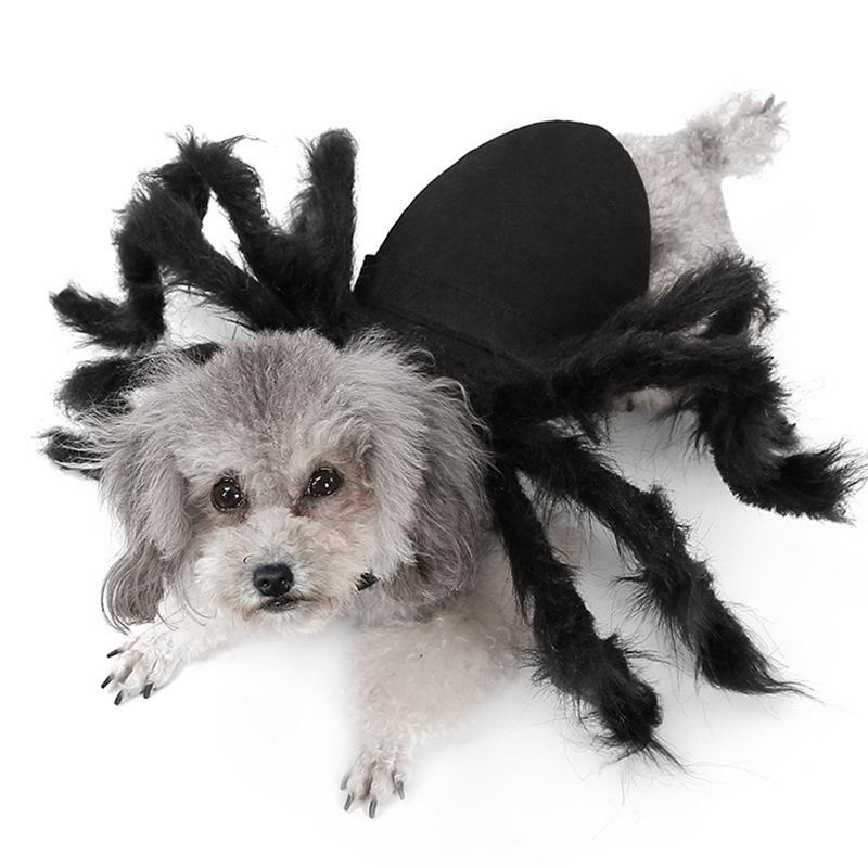 Pet Cats and Dogs Black Bat Wings